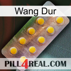 Hard Wang new11